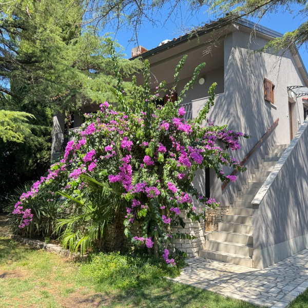 Flowers Apartments Medulin, Flowers apartments Medulin, Pula & Banjole Pula