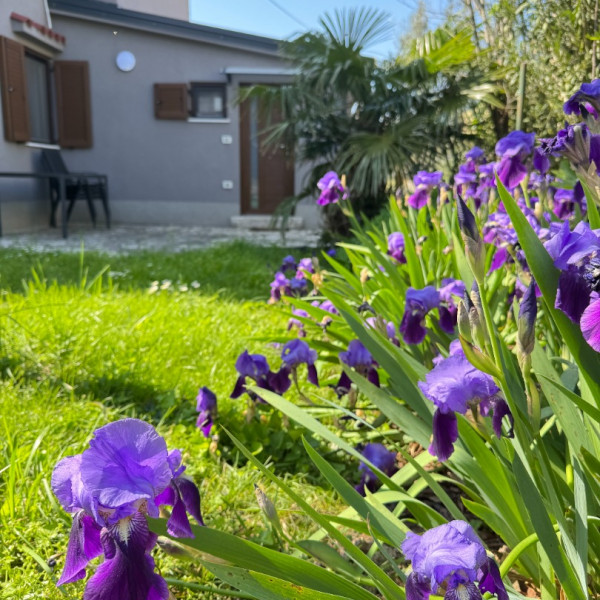 Flowers Apartments Medulin, Flowers apartments Medulin, Pula & Banjole Pula