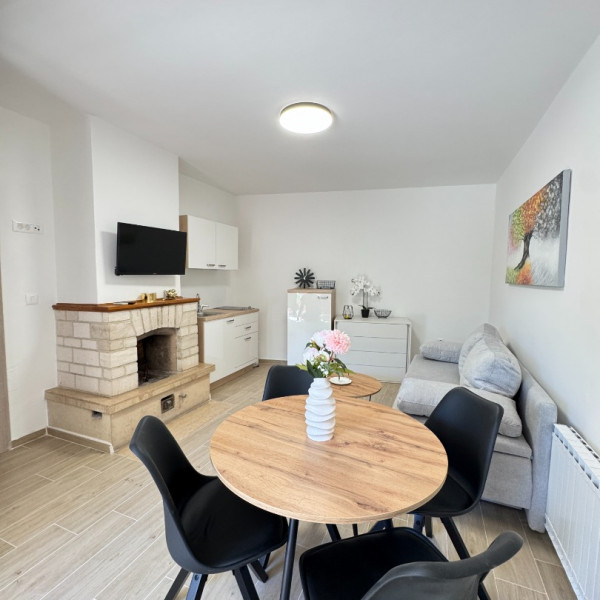 Living room, Flowers Apartments Pula, Flowers apartments Medulin, Pula & Banjole Pula