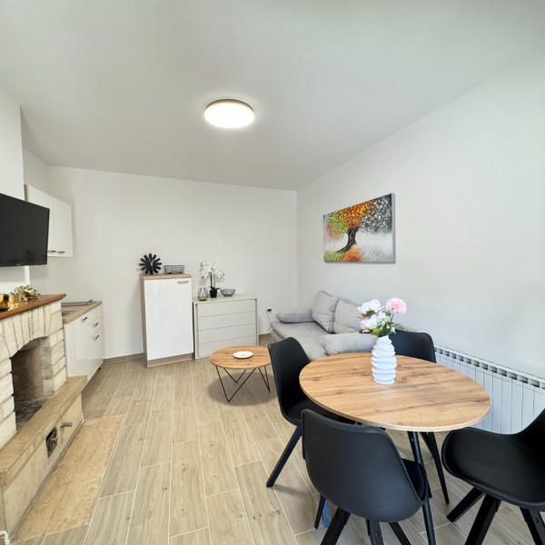 Living room, Flowers Apartments Pula, Flowers apartments Medulin, Pula & Banjole Pula