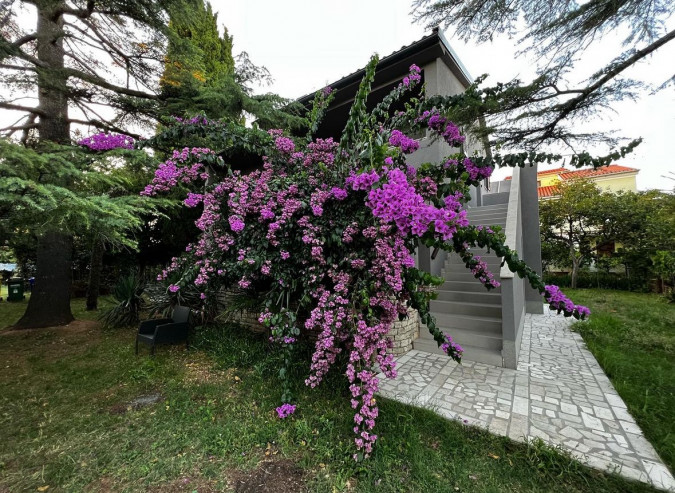 Flowers Apartments Medulin, Flowers apartments Medulin, Pula & Banjole Pula