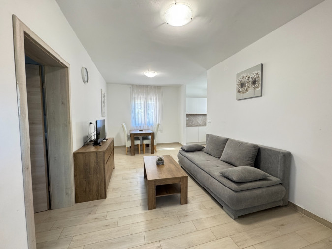 Bougainvillea, Flowers apartments Medulin, Pula & Banjole Pula